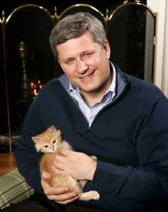 Stephen Harper with a kitten