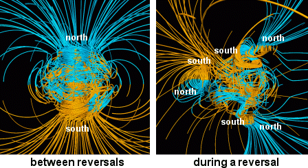 magnetic pole shift