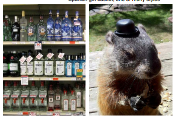 broker's gin newsletter groundhog with hat