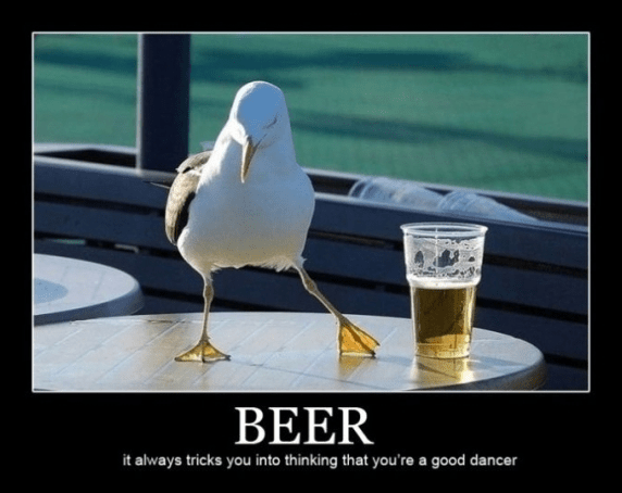 beer bird