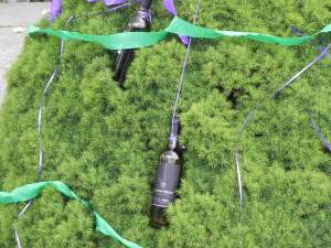 Just as magically, near the wine tree there was a wine bush.