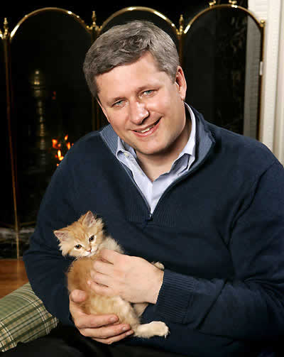 Stephen Harper with a kitten