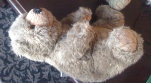 You only had to look at Fluffy to know his thick coat was doing him in.