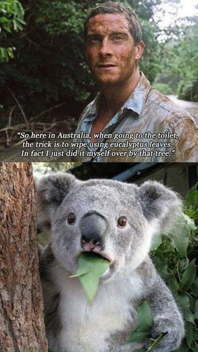 1017349_10152176558166233_1032740325_n