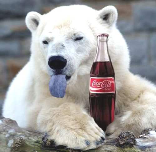 i-hate-coca-cola