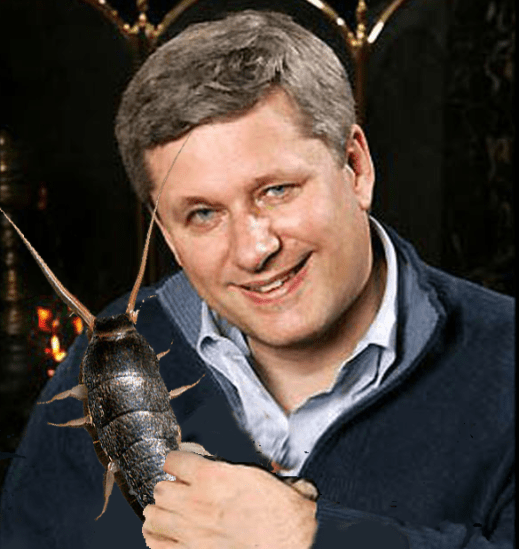 My parents say that if I can corral one of our cat-sized silverfish in the bathroom, they will pay the shipping to send it to Stephen Harper as a pet.