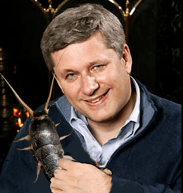 stephen harper with silverfish copy