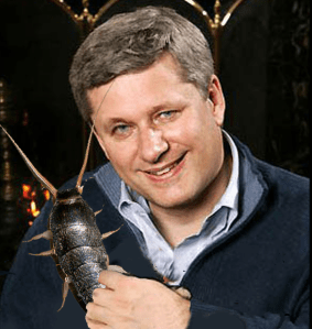Damnit, Stephen Harper, keep your pets on a leash.