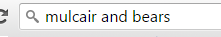 mulcair search