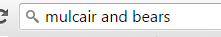 mulcair search