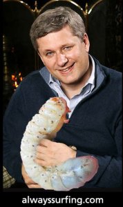 stephen-harper-with-wormy-thing