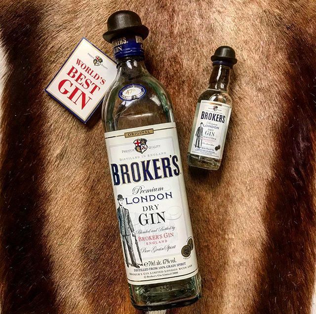 Broker's Gin on possibly bearskin rug OMG